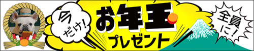 今だけ！お年玉プレゼント