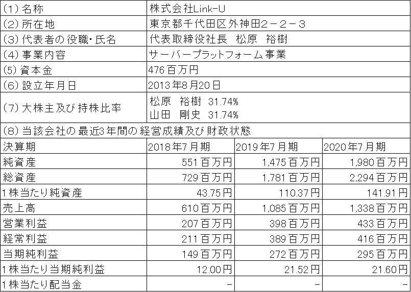 共同出資会社の概要.jpg