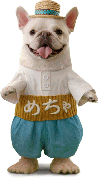 めちゃ犬.png